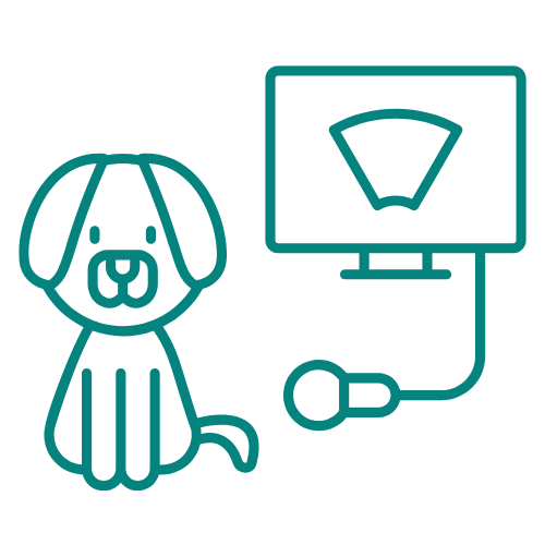 diseño sin título (18)