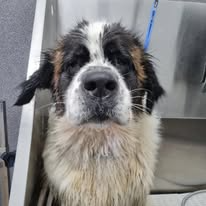 Nosotros imgi 31 489513352 1163860419084464 2115542863574256768 n