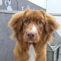 Nosotros imgi 33 487476134 1159228376214335 3217768827514441391 n